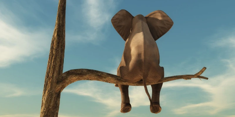 Ein einsamer Elefant sitzt auf einem Ast