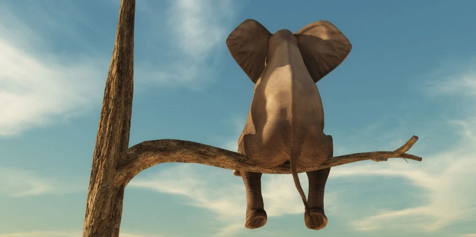 Einsamer Elefant sitzt auf Ast